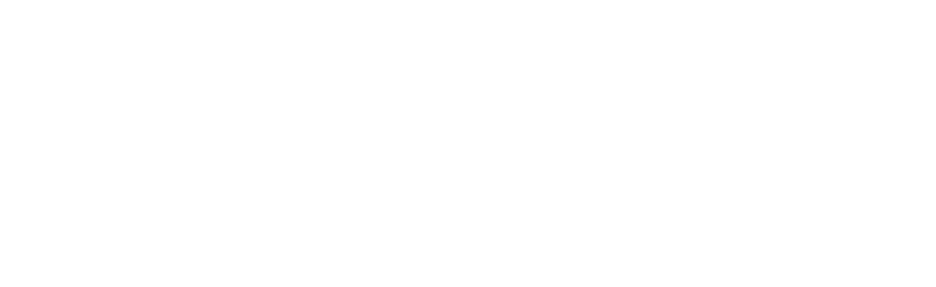 New logo white long